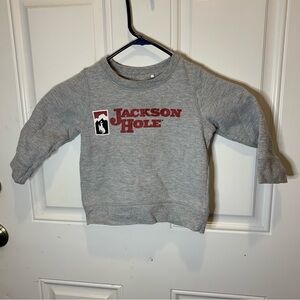 Garb Inc. Jackson Hole Gray Graphic Logo Sweatshirt Size 2T (Age 1-2)